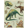 Cavallini & Co poster - Dinosaurus