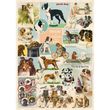Cavallini & Co poster - Dog