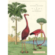 Cavallini & Co poster - The Flamingo