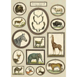 Cavallini & Co poster - Histoire Naturelle Série Animaux