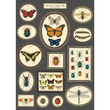 Cavallini & Co poster - Histoire Naturelle Série Insectes