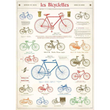 Cavallini & Co poster - les Bicyclettes