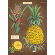 Cavallini & Co poster - L'Ananas