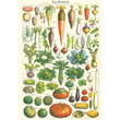 Cavallini & Co poster - Le Jardin